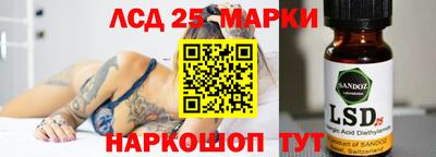 a pvp Бердск