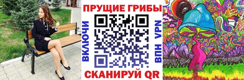 Псилоцибиновые грибы прущие грибы  Махачкала 