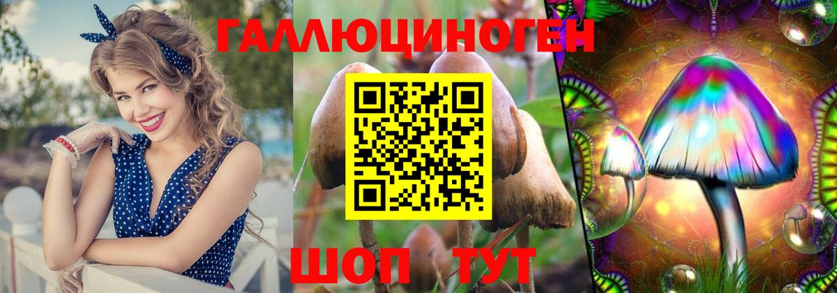 Псилоцибиновые грибы Psilocybe  Вход с VPN  Махачкала  Галлюциногенные грибы ЛСД 