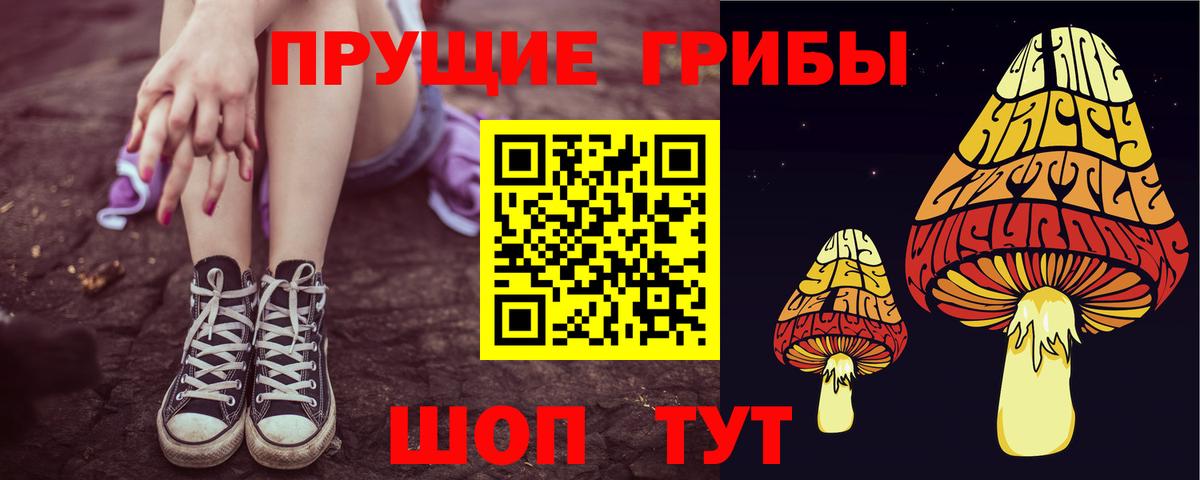 Галлюциногенные грибы Magic Shrooms Махачкала